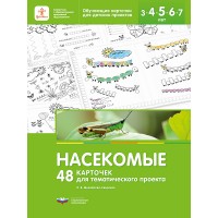 Насекомые. 48 карточек для тематического проекта